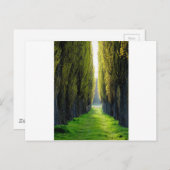 ALEJAWroclaw Polen Postkarte (Vorne/Hinten)