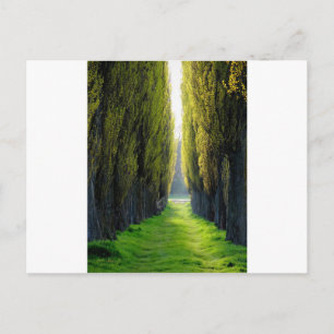 ALEJAWroclaw Polen Postkarte