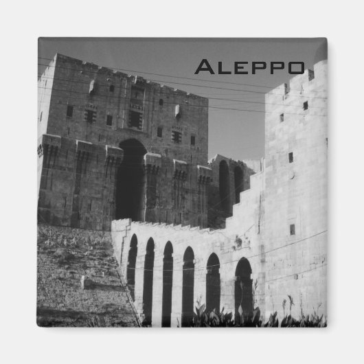 Aleppo Magnet (Vorne)