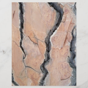 Aleppo Pine