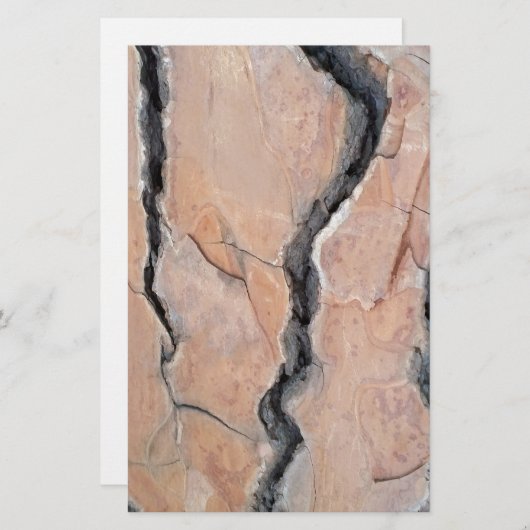 Aleppo Pine Briefpapier (Vorne/Hinten)