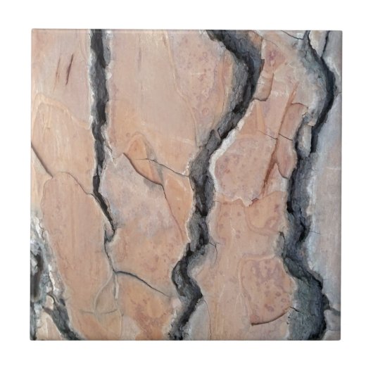 Aleppo Pine Fliese (Vorderseite)