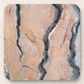 Aleppo Pine Getränkeuntersetzer (Vorderseite)