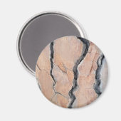 Aleppo Pine Magnet (Vorderseite/Rückseite)
