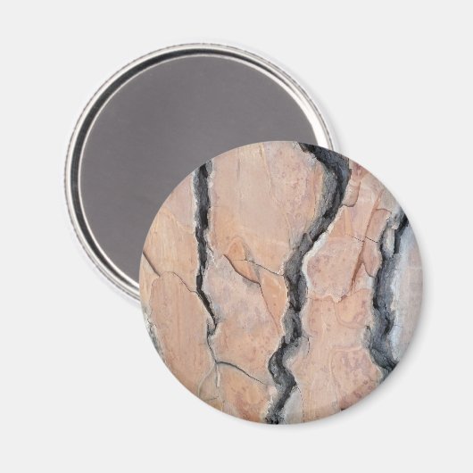 Aleppo Pine Magnet (Vorderseite/Rückseite)