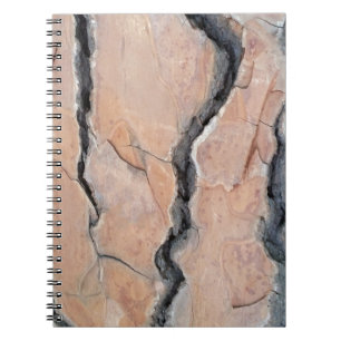 Aleppo Pine Notizblock