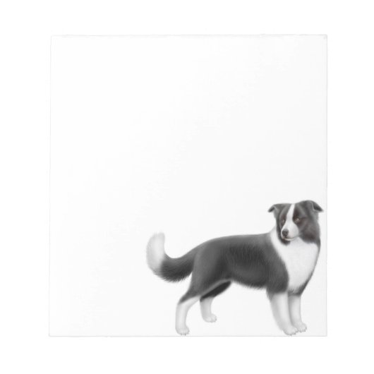 Alert Border Collie Dog Notepad Notizblock (Vorderseite)