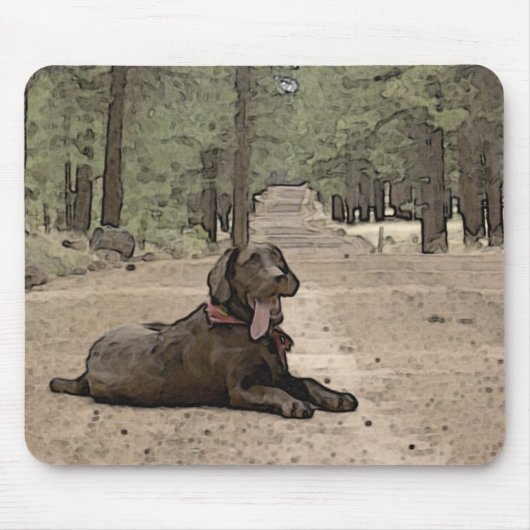 Alert Chocolate Labrador auf einem Waldweg Artwork Mousepad (Vorne)
