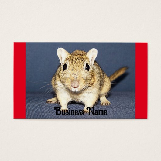 Alert Gerbil Business Card (Vorderseite)