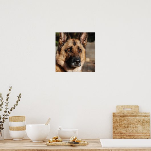 Alert German Shepherd Poster (Küche)
