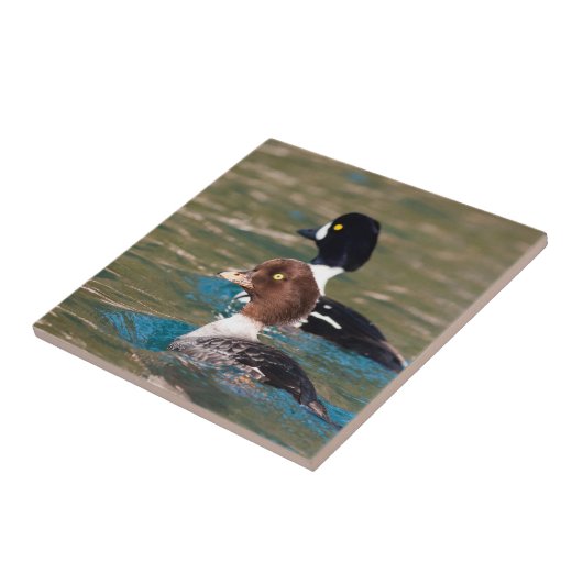 Alert Goldeneye Fliese (Seite)