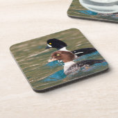 Alert Goldeneye Getränkeuntersetzer (Linke Seite)