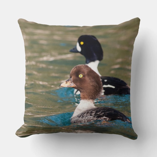Alert Goldeneye Kissen (Vorderseite)