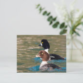 Alert Goldeneye Postkarte (Stehend Vorderseite)