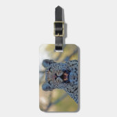 Alert Leopard Gepäckanhänger (Vorderseite vertikal)