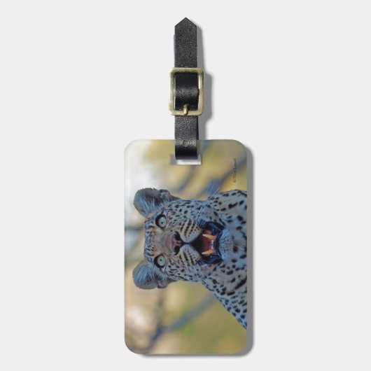 Alert Leopard Gepäckanhänger (Vorderseite vertikal)