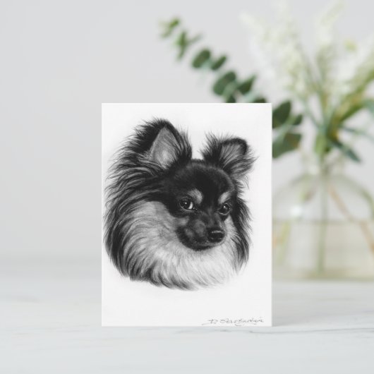 Alert Long Haired Chihuahua Hand Drawn Art Postkarte (Stehend Vorderseite)