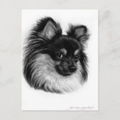 Alert Long Haired Chihuahua Hand Drawn Art Postkarte (Vorderseite)