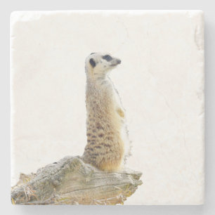 Alert Meerkat auf Wachdienst, Steinuntersetzer