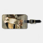 Alert Weasel Gepäckanhänger (Vorderseite horizontal)