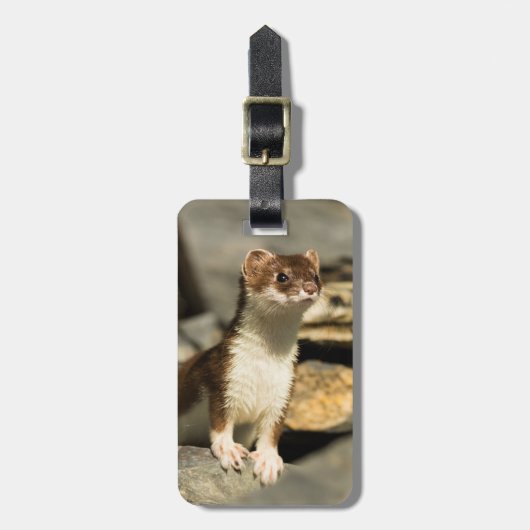 Alert Weasel Gepäckanhänger (Vorderseite vertikal)