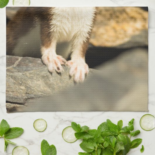 Alert Weasel Geschirrtuch (Gefaltet)