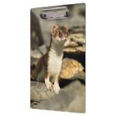 Alert Weasel Klemmbrett (Links)