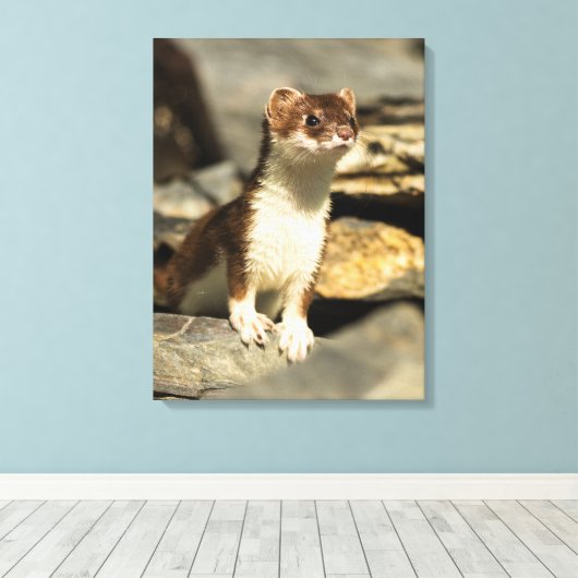 Alert Weasel Leinwanddruck (Insitu (Holzboden))