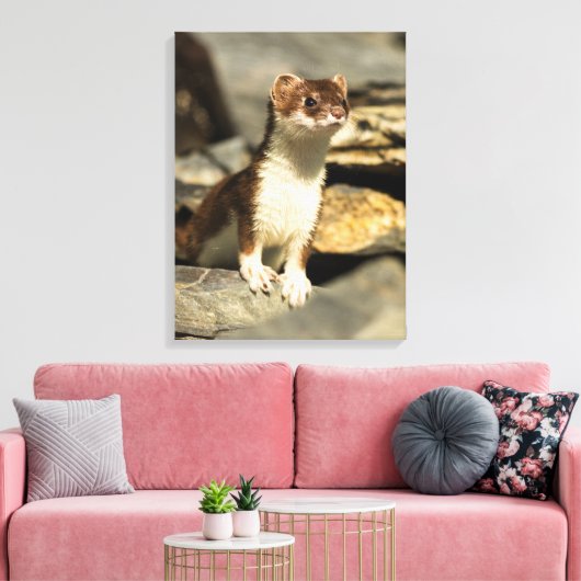 Alert Weasel Leinwanddruck (Insitu (Wohnzimmer))