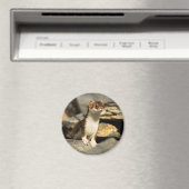 Alert Weasel Magnet (In Situ (Geschirrspüler))