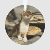 Alert Weasel Ornament (Rückseite)