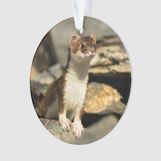 Alert Weasel Ornament (Vorderseite)