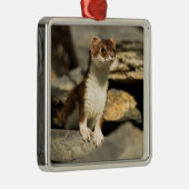 Alert Weasel Ornament Aus Metall (Rechts)