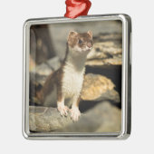 Alert Weasel Ornament Aus Metall (Links)