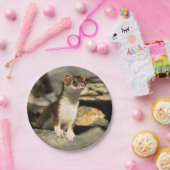 Alert Weasel Pappteller (Party)
