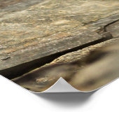 Alert Weasel Poster (Ecke)