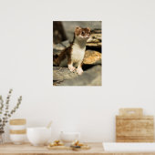 Alert Weasel Poster (Küche)