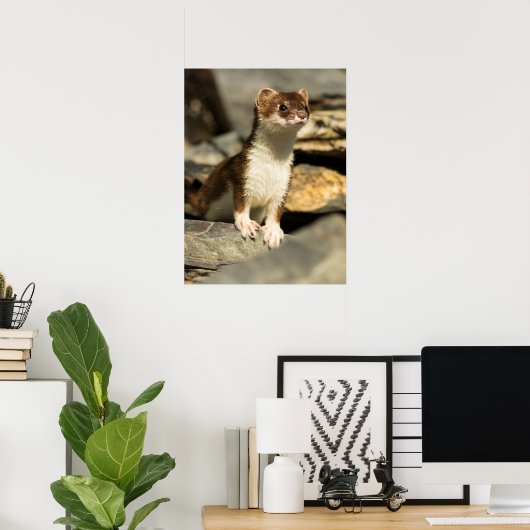 Alert Weasel Poster (Heimbüro)