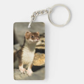 Alert Weasel Schlüsselanhänger (Rückseite)