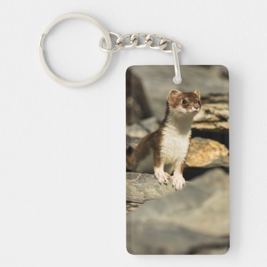 Alert Weasel Schlüsselanhänger (Vorderseite)