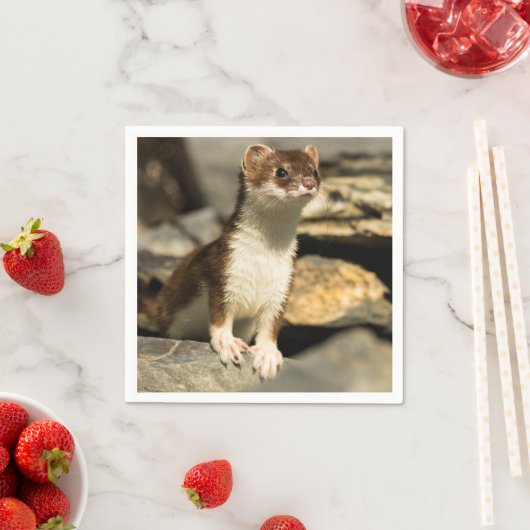 Alert Weasel Serviette (Beispiel)