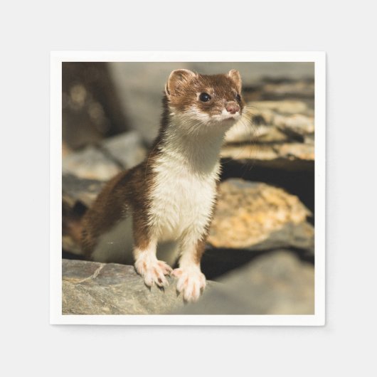 Alert Weasel Serviette (Vorderseite)