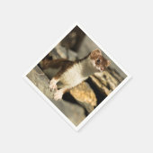 Alert Weasel Serviette (Ecke)
