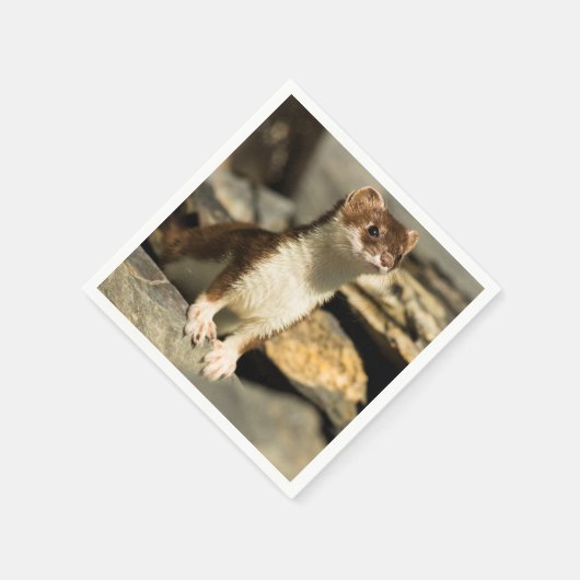 Alert Weasel Serviette (Ecke)