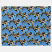 Alert Wild Koala, der in einem Baum sitzt, Fleecedecke (Vorderseite (Horizontal))