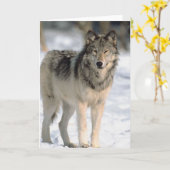 Alert Wolf Karte (Gelbe Blume)
