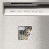 Alert Wolf Magnet (In Situ (Geschirrspüler))