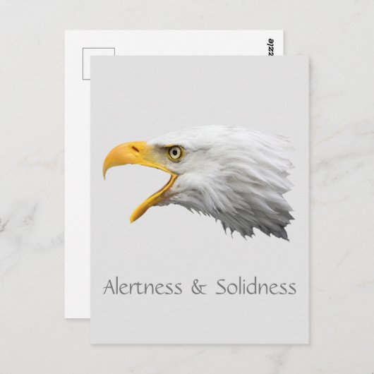 Alertness & Solidness von Bald Eagle Postkarte (Vorne/Hinten)