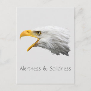 Alertness & Solidness von Bald Eagle Postkarte