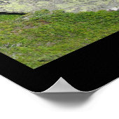 Aletsch Glacier, Schweiz Poster (Ecke)